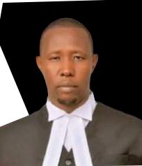 WhatsApp Image 2023-11-22 at 6.37